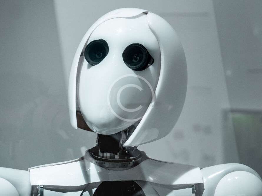 Img 16 Copyright 890x664