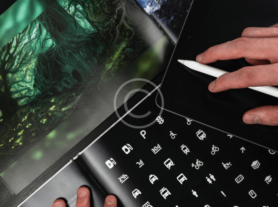 Img 32 3 Copyright 890x664